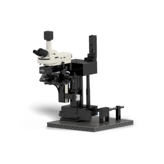 布魯克Bruker Ultima Investigator 活體多光子顯微鏡